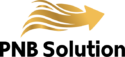 PNB Solution